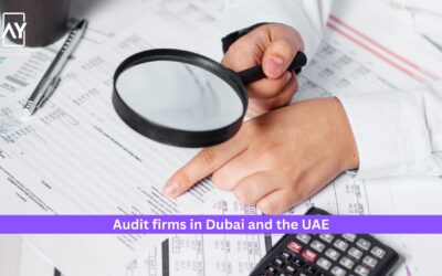 Why Audit Firms in Dubai and the UAE Are More Than Just Number Checkers