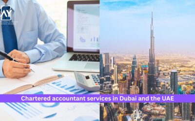 The Growing Need for Chartered Accountant Services in Dubai and the UAE 