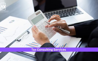 Navigating the UAE’s Economic Shifts: The Role of Tax Consulting Services