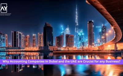 Why Accounting Companies in Dubai and the UAE are Crucial for any Business?