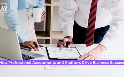 The Power Duo: How Professional Accountants and Auditors Drive Business Success