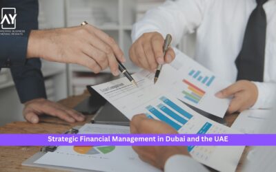Strategic Financial Management in Dubai and the UAE