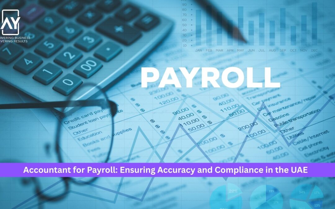 Accountant for Payroll: Ensuring Accuracy and Compliance in the UAE
