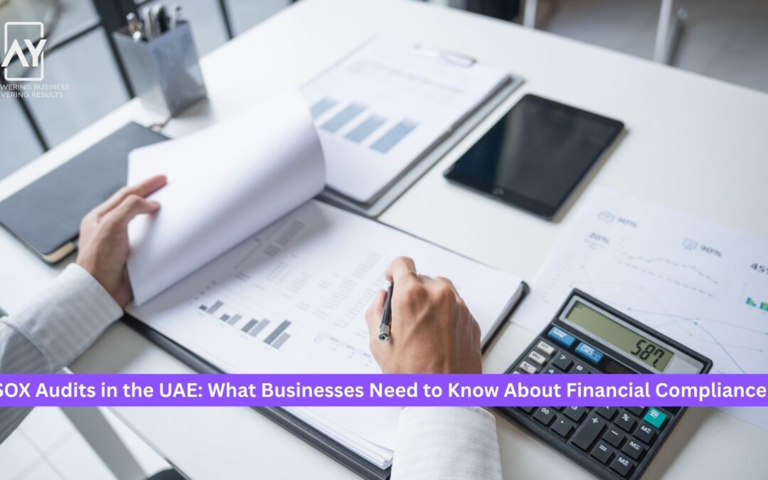 SOX Audits in the UAE: What Businesses Need to Know About Financial Compliance