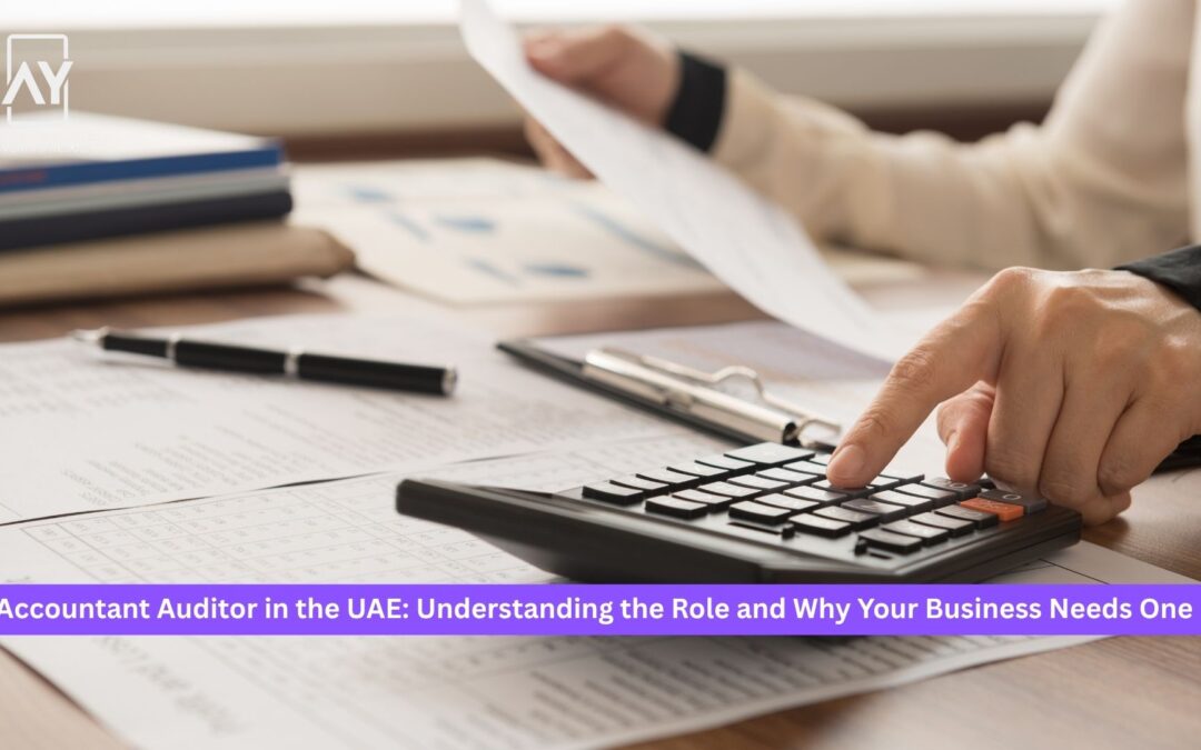 Accountant Auditor in the UAE: Understanding the Role and Why Your Business Needs One