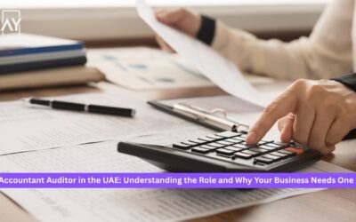 Accountant Auditor in the UAE: Understanding the Role and Why Your Business Needs One