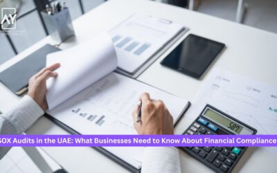 SOX Audits in the UAE: What Businesses Need to Know About Financial Compliance