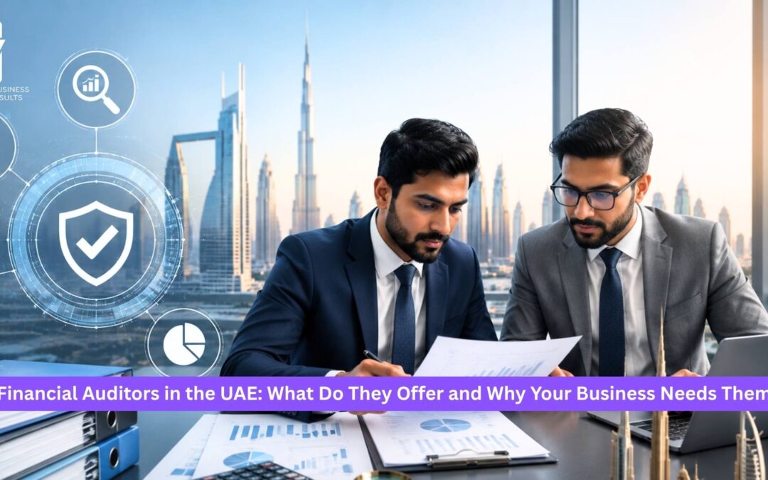 Financial Auditors in the UAE: What Do They Offer and Why Your Business Needs Them