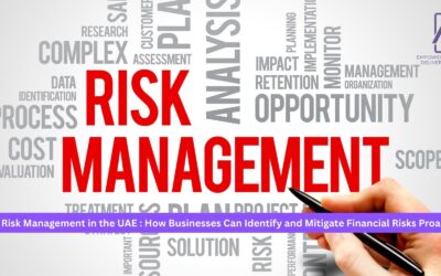 Financial Risk Management in the UAE: How Businesses Can Identify and Mitigate Financial Risks Proactively  